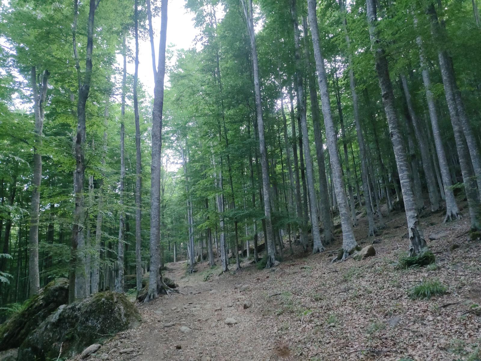 Esperienze TREKKING Monte Amiata
