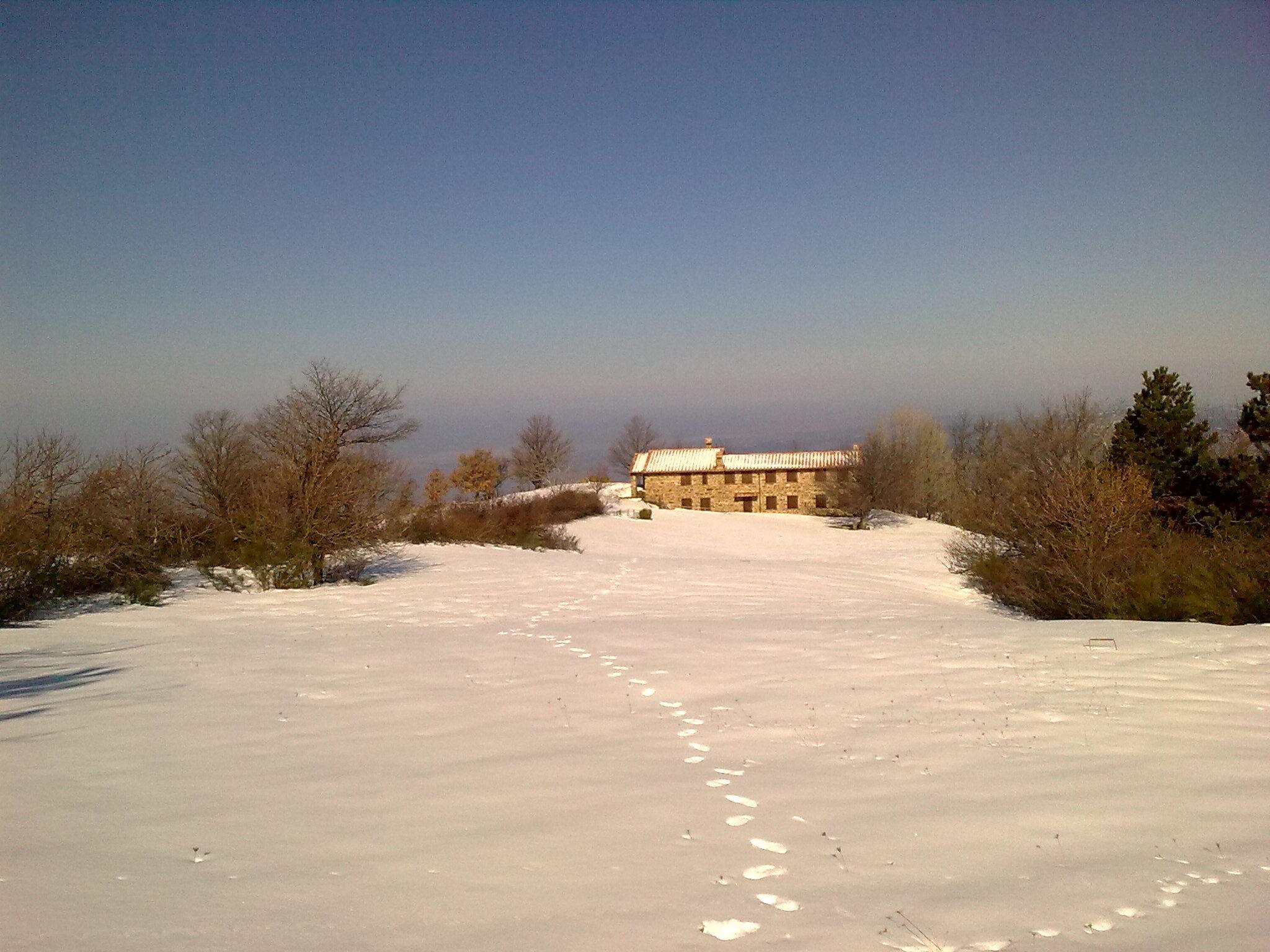 Trekking sul Monte Amiata poggiobello neve0