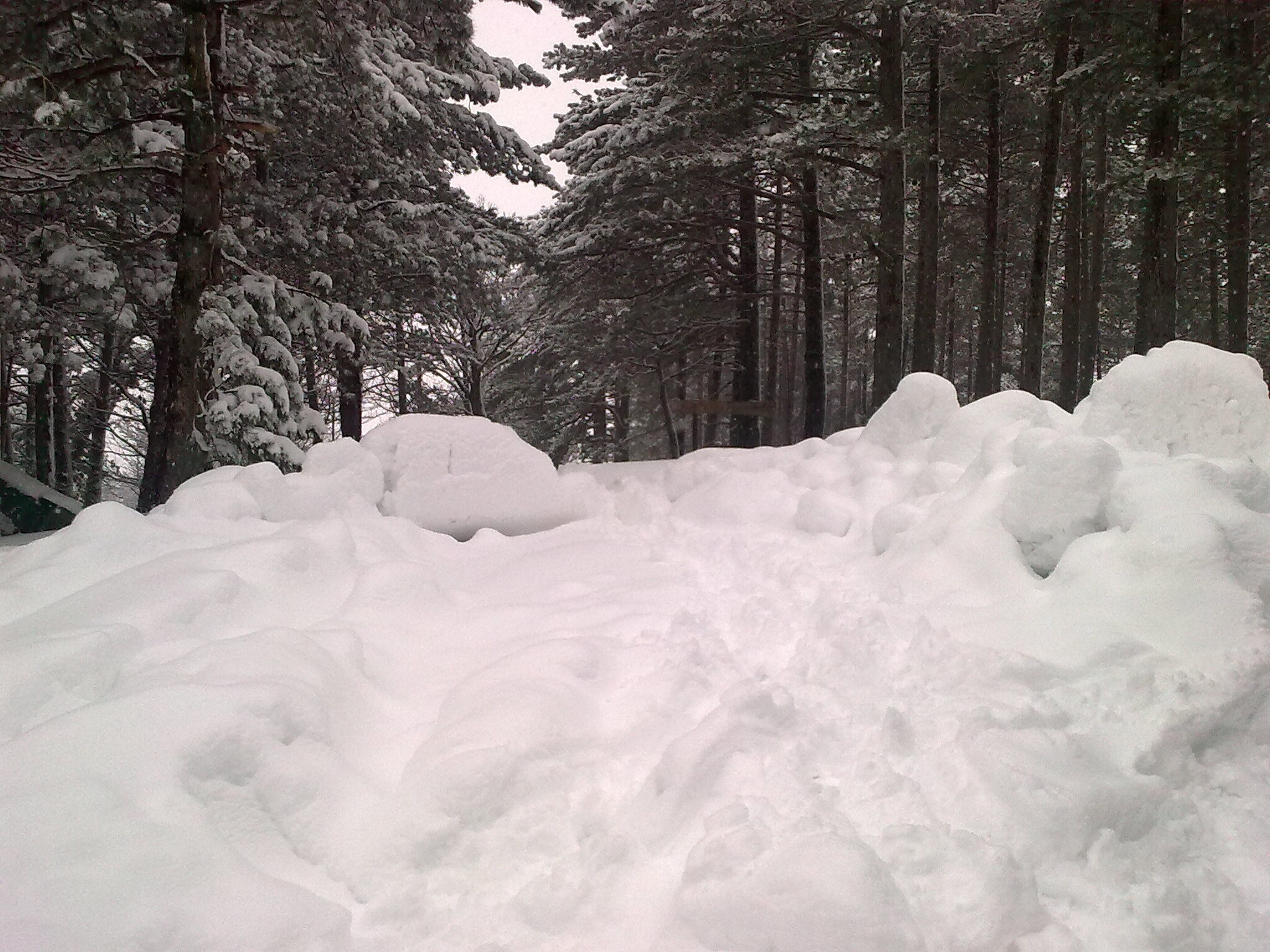 Trekking sul Monte Amiata poggiobello neve5
