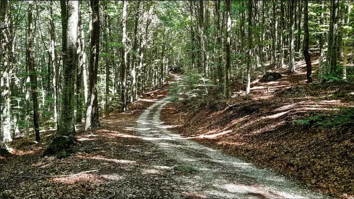 Esperienze sentieri monte amiata-3